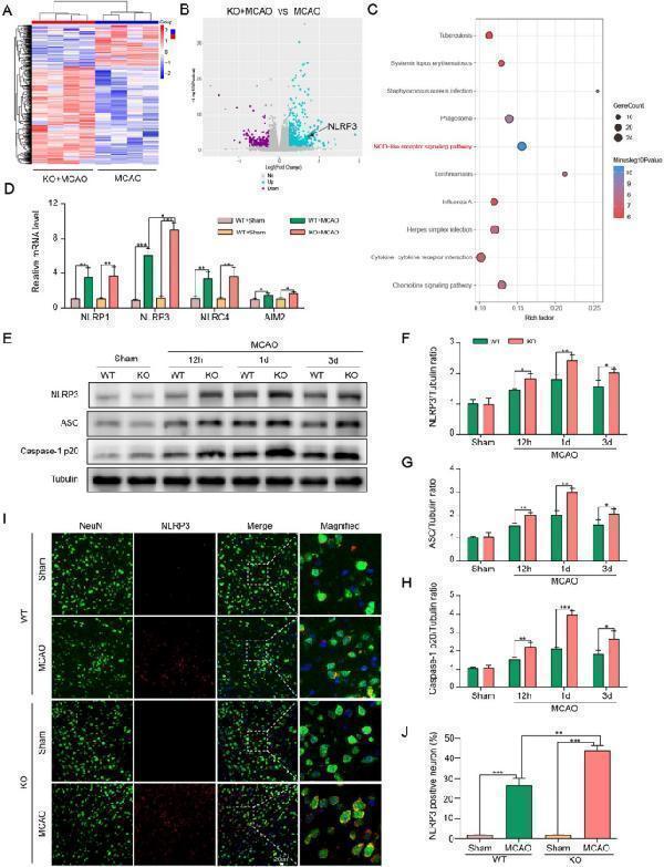 pa1665 12967_2023_4813_fig2_html