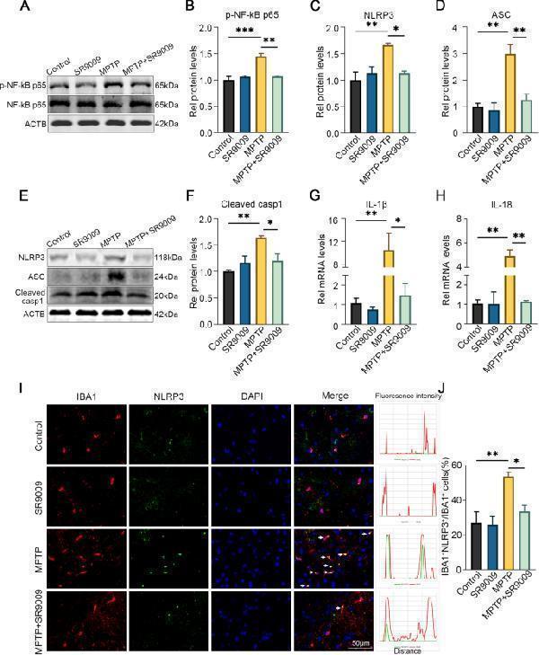 pa1665 12974_2022_2494_fig11_html