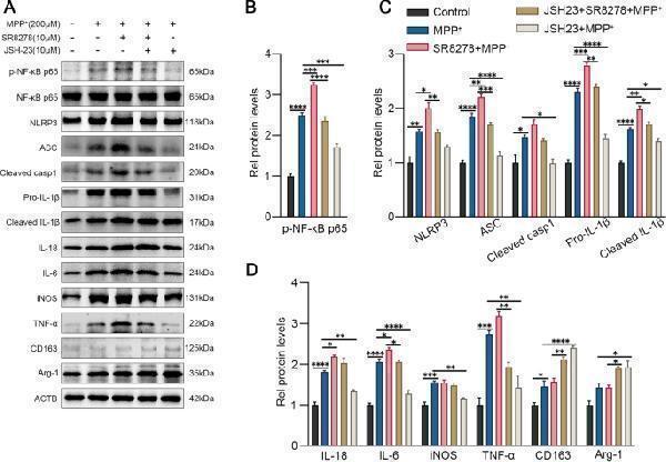pa1665 12974_2022_2494_fig4_html