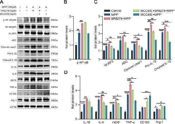 pa1665 12974_2022_2494_fig5_html