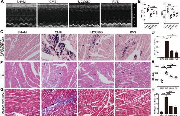 pa1665 41419_2021_3389_fig2_html