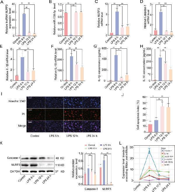 pa1665 41419_2021_4180_fig2_html