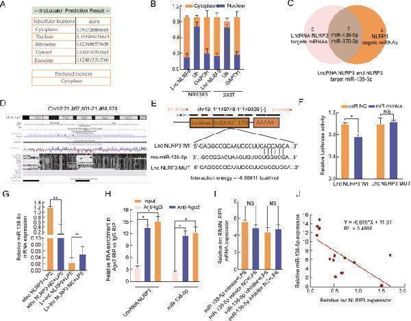 pa1665 41419_2021_4180_fig4_html