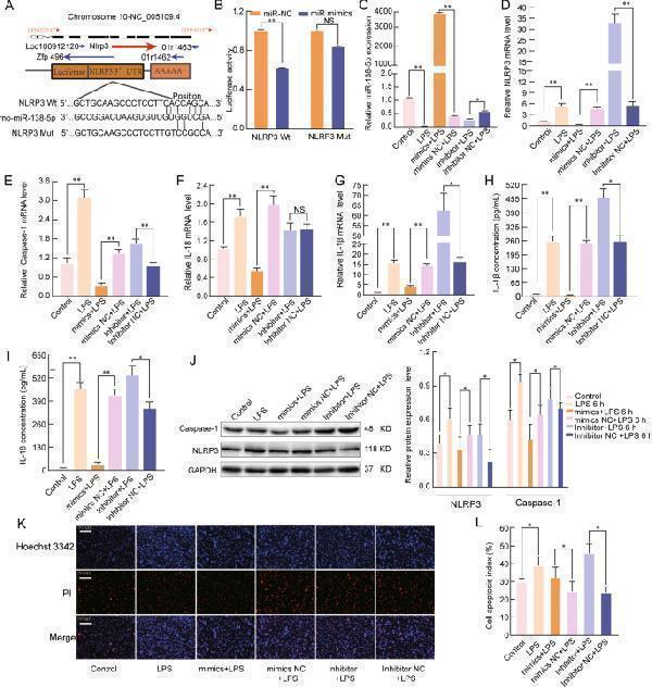 pa1665 41419_2021_4180_fig5_html