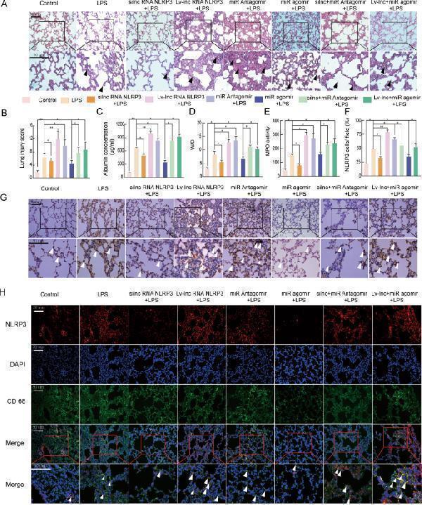 pa1665 41419_2021_4180_fig7_html