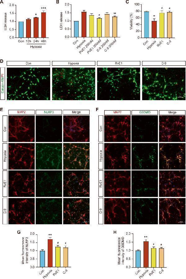 pa1665 41419_2023_6237_fig6_html