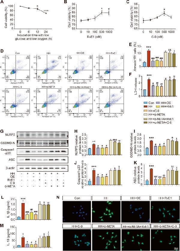 pa1665 41419_2023_6237_fig7_html