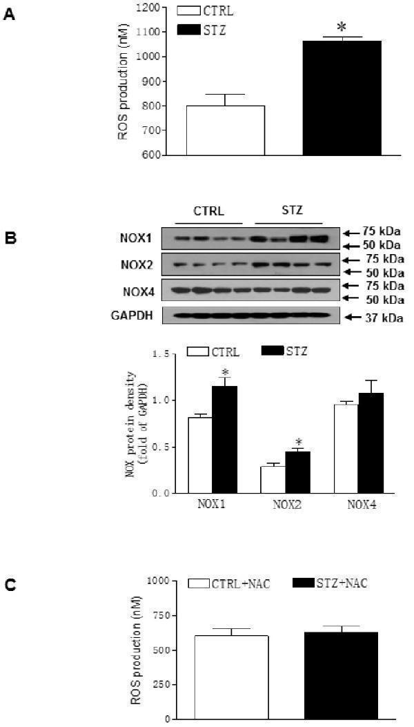 Effect of GDM on the ROS level in offspring