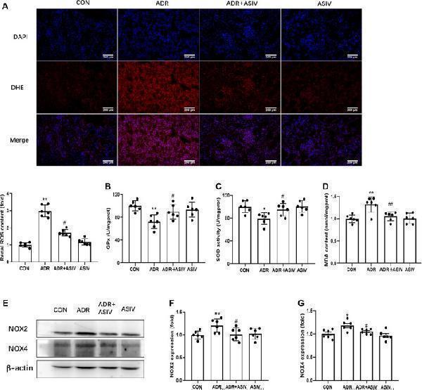 pa1667 fphar 13 812594 g002