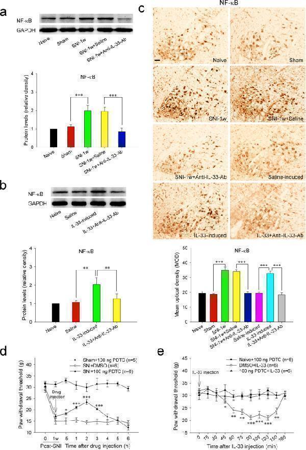 pa1669 12974_2021_2198_fig3_html