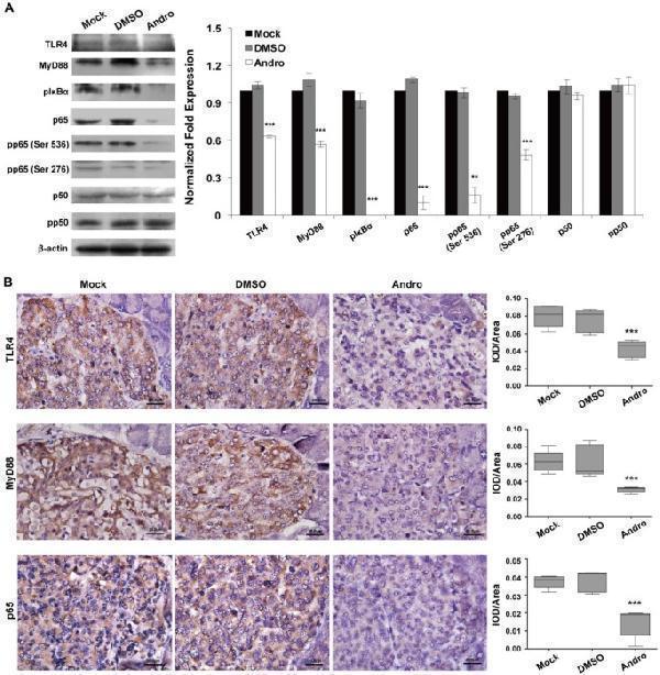 pa1669 ijbsv10p0404g005