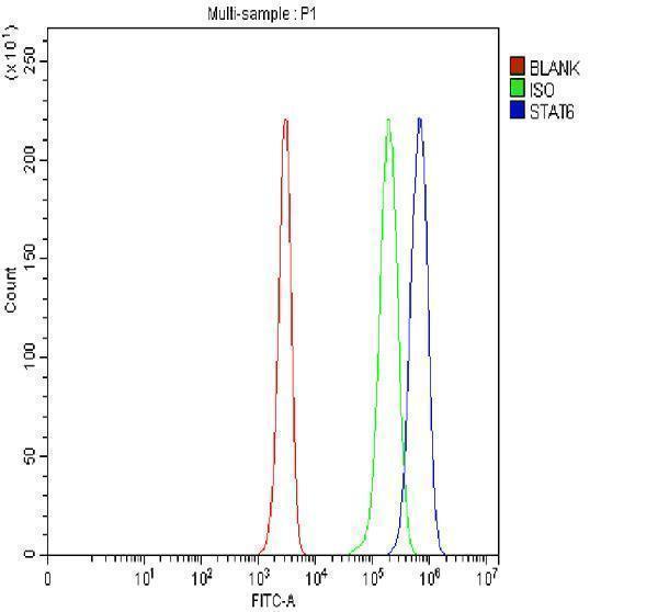 pa1691 stat6 primary antibodies fcm testing 1