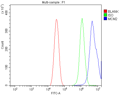 pa1711 mcm2 primary antibody fcm testing 7