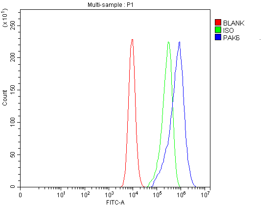 Flow Cytometry analysis of CACO-2 cells using anti-PAK6 antibody (PA1729)