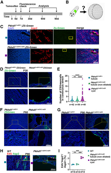 pa1742 publication gr2__2