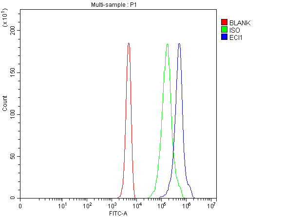 pa1763 eci1 primary antibodies fcm testing 1
