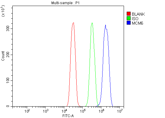 pa1769 mcm6 primary antibodies fcm testing 9