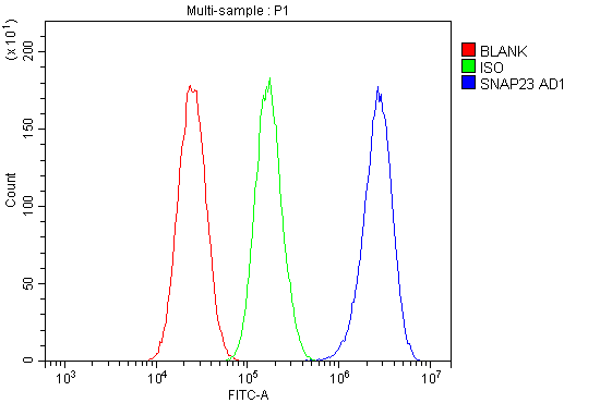 pa1774 snap23 primary antibodies fcm testing 7