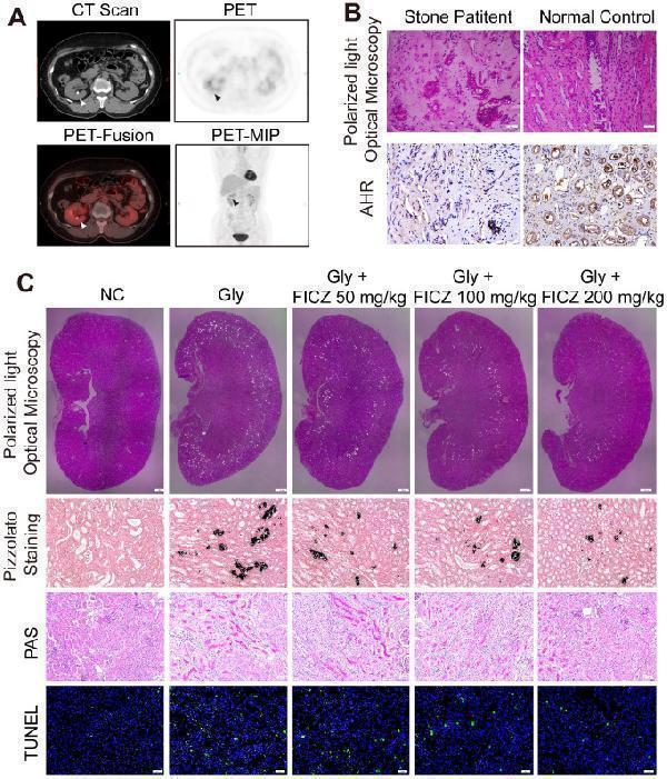 pa1782 1 thnov10p12011g001
