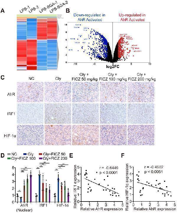pa1782 1 thnov10p12011g002