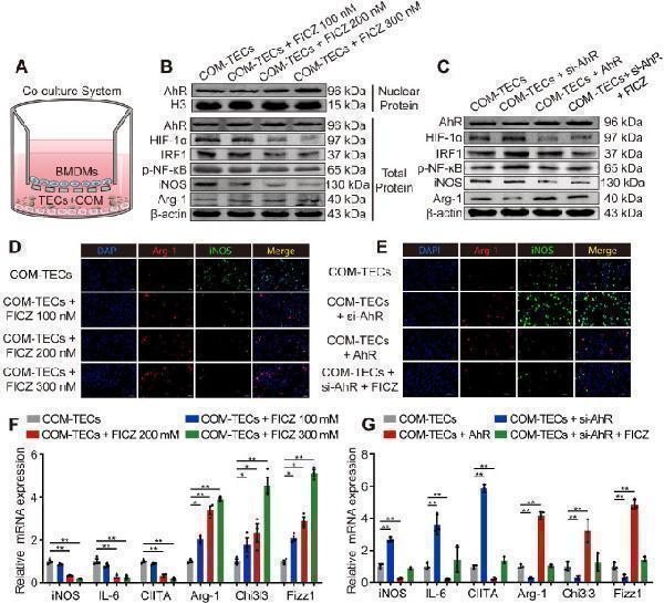 pa1782 1 thnov10p12011g003