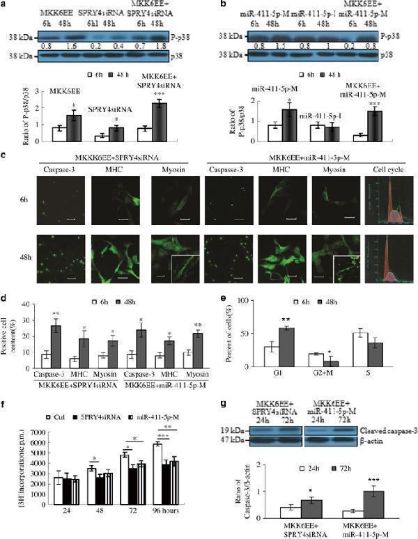 pa1788 41419_2015_article_bfcddis2015225_fig5_html