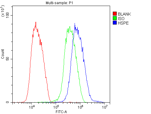 pa1790 hspe primary antibodies fcm testing 11