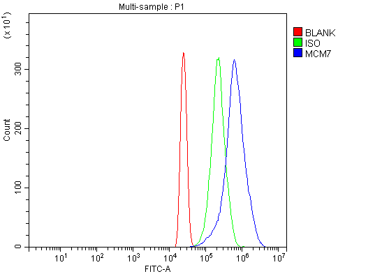 pa1792 mcm7 primary antibodies fcm testing 6
