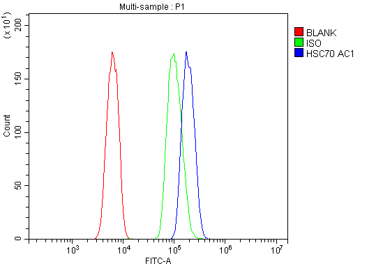 pa1816 hspa8 primary antibodies fcm testing 5