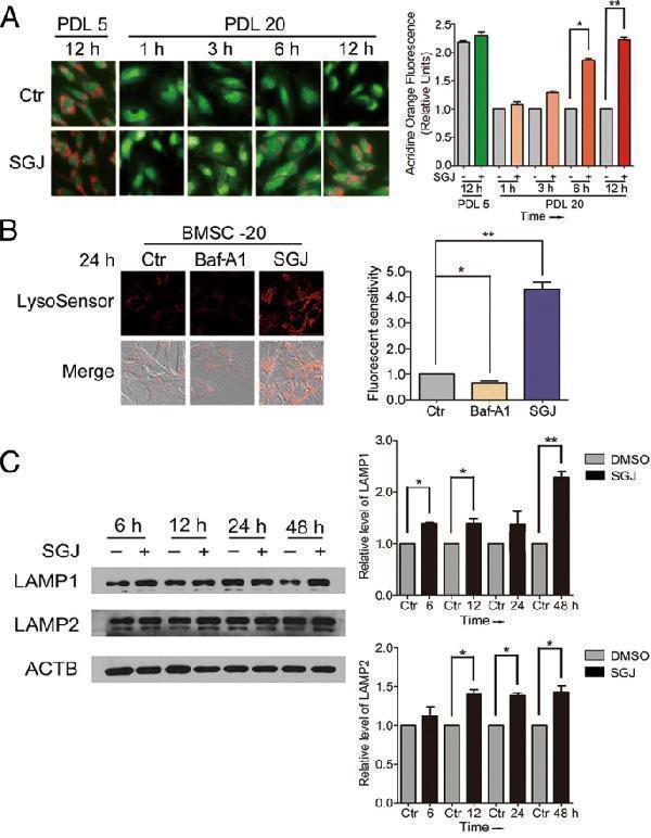 pa1822 13287_2018_1081_fig2_html