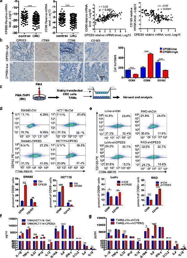 pa1874 1 13046_2020_1637_fig1_html
