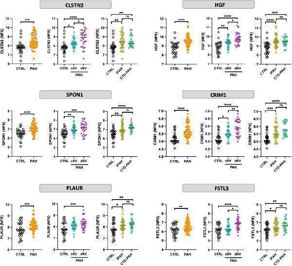 pa1915 jah39761 fig 0002