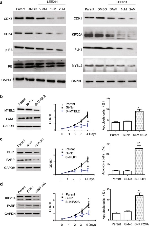 pa1928 12935_2017_405_fig8_html publication