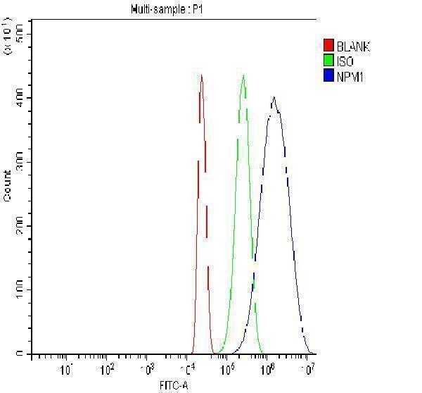 pa1931 nucleophosmin primary antibodies fcm testing 10