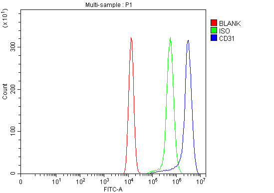 pa1950 1 pecam1 primary antibodies fcm testing 9