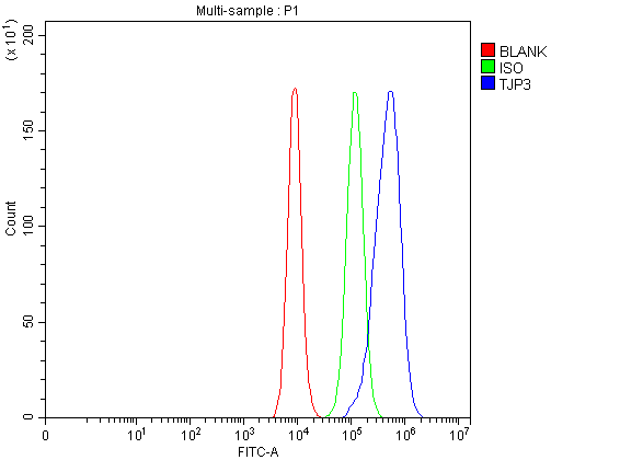 pa1972 tjp3 primary antibodies fcm testing 1