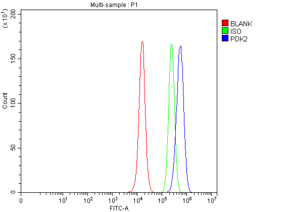 pa1994 pdk2 primary antibodies fcm testing 1
