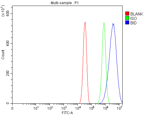  Flow Cytometry analysis of Neuro-2a cells using anti-Bid antibody (PA2015)