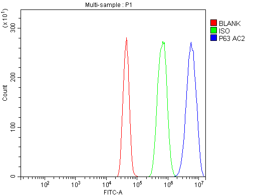 pa2056 tp63 primary antibodies fcm testing 7_1