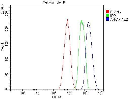 pa2076 anxa7 primary antibodies fcm testing 4