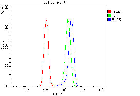  Flow Cytometry analysis of A431 cells using anti-BAG5 antibody (PA2101)