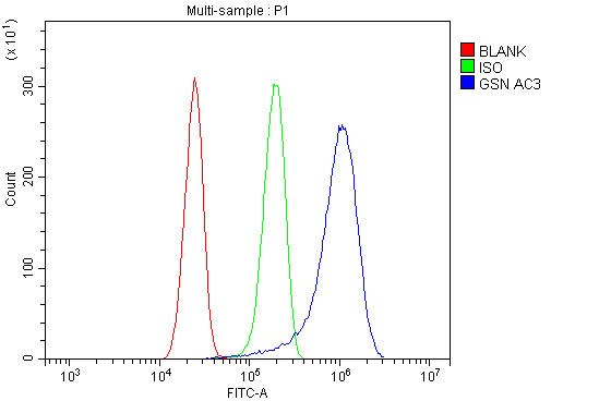 pa2109 gsn primary antibodies fcm testing 7