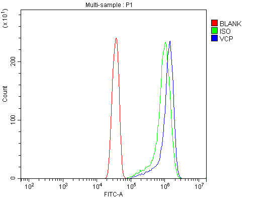 pa2137 vcp primary antibodies fcm testing 11