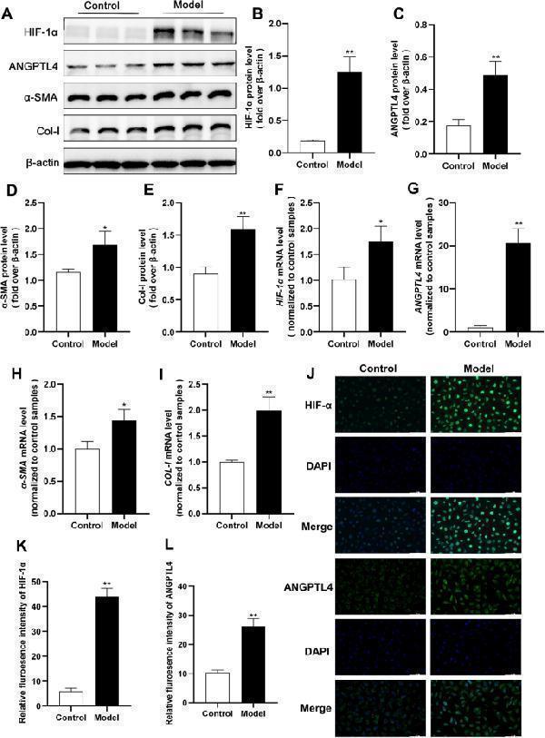 pa2140 1 12967_2024_5466_fig5_html