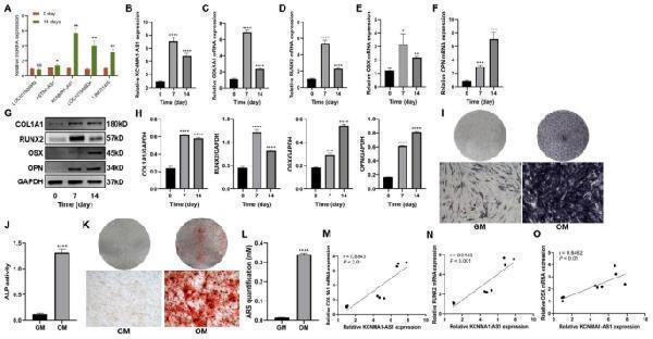 pa2140 1 13062_2023_425_fig1_html