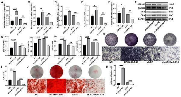 pa2140 1 13062_2023_425_fig2_html