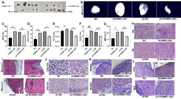 pa2140 1 13062_2023_425_fig3_html