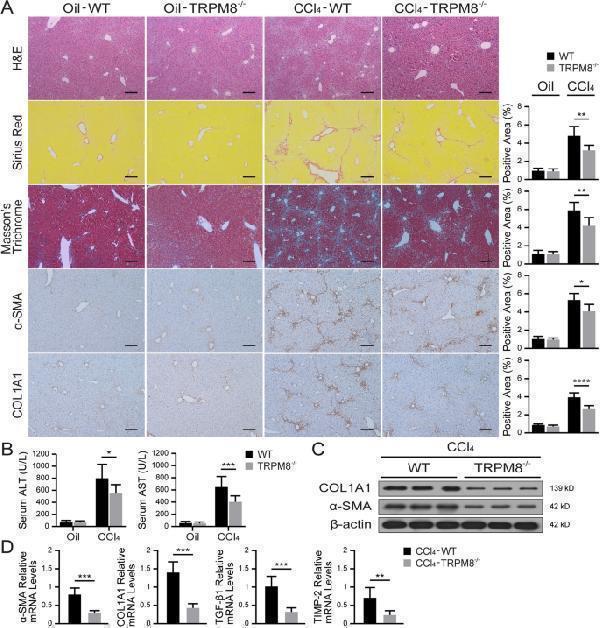 pa2140 1 13578_2022_789_fig2_html