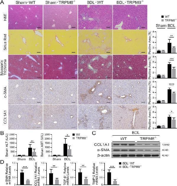 pa2140 1 13578_2022_789_fig3_html
