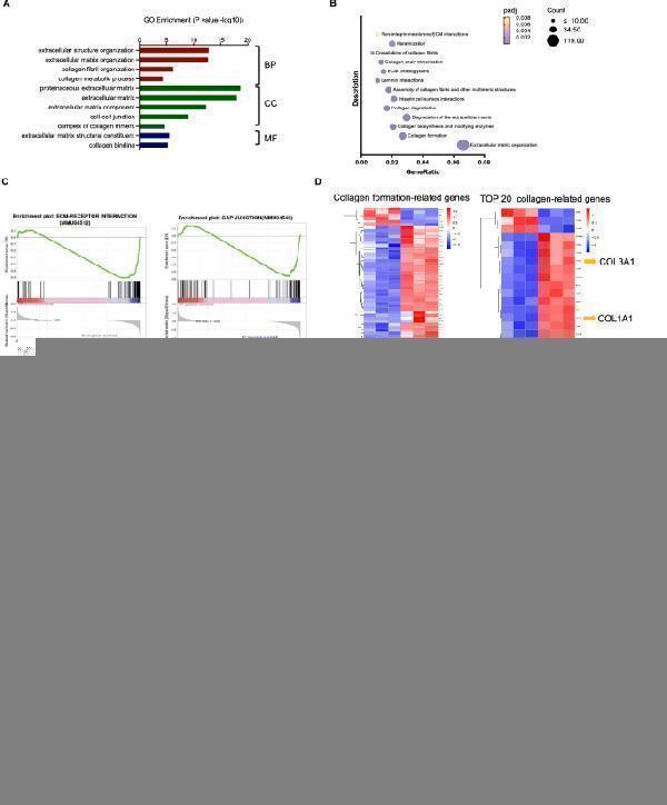 pa2140 1 40164_2023_471_fig3_html